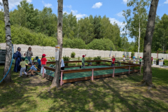 brzezovka-143