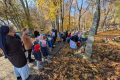 pxl_20251106_093443937