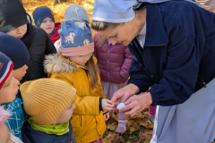 pxl_20251106_093701584.portrait