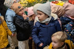 pxl_20251104_083927816.portrait