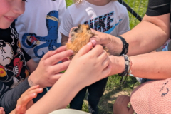 pxl_20250528_091818056