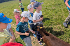 pxl_20250528_095717088