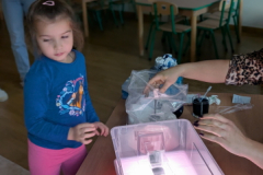 pxl_20251023_111642433.portrait