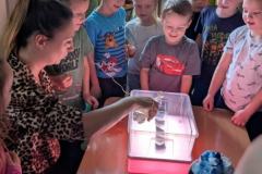 pxl_20251023_111815964.portrait