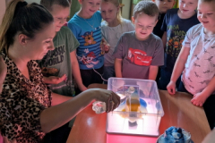 pxl_20251023_111818258.portrait