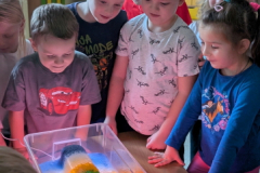 pxl_20251023_111846047.portrait