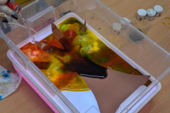 pxl_20251024_121106539.portrait