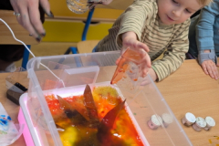 pxl_20251024_121123104.portrait