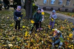 2025ochronkadebicajesiennewyprawy-16_wynik