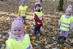 2025ochronkadebicajesiennewyprawy-3_wynik