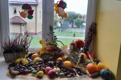 2025ochronkadebicakacikijesien-3_wynik