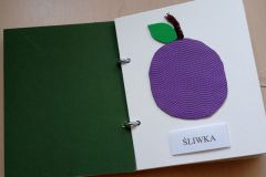 2025ochronkadebicaksiazkasensoryczna-3_wynik