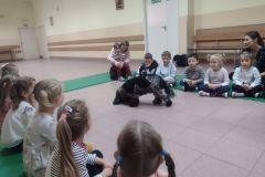 2025ochronkadebicapsy-14_wynik