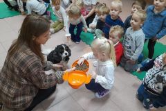 2025ochronkadebicapsy-1_wynik