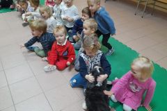 2025ochronkadebicapsy-21_wynik