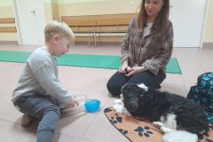 2025ochronkadebicapsy-2_wynik