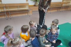 2025ochronkadebicapsy-3_wynik