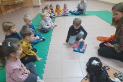 2025ochronkadebicapsy-4_wynik