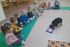 2025ochronkadebicapsy-5_wynik