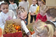 2025ochronkadebicaozenarodzenie-37