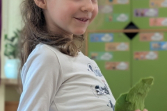 pxl_20260304_092603551.portrait