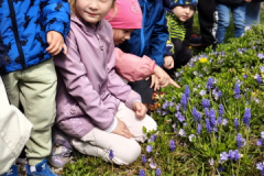 img20260424102509