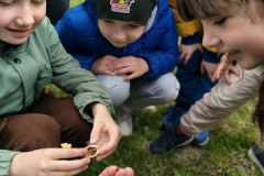 img20260424102547