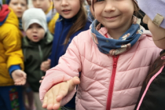 img20260424102633