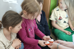 img20260428102636