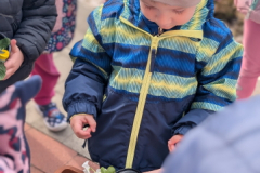 pxl_20260324_091427229.portrait