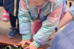 pxl_20260324_091458372.portrait