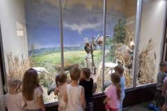 2026-ochronka-pilzno-muzeum-przyrodnicze-21