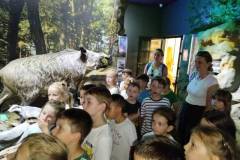 2026-ochronka-pilzno-muzeum-przyrodnicze-3