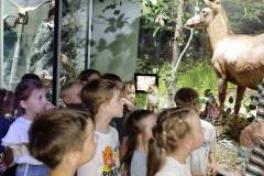 2026-ochronka-pilzno-muzeum-przyrodnicze-5