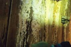 2026-ochronka-pilzno-kopalnia-soli-43