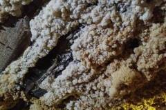 2026-ochronka-pilzno-kopalnia-soli-44