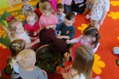 2.-ochronka-pilzno-zycie-mrowek-1