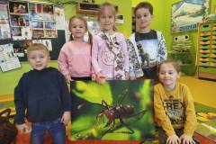 2.-ochronka-pilzno-zycie-mrowek-15