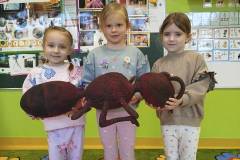 2.-ochronka-pilzno-zycie-mrowek-16