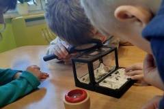 2.-ochronka-pilzno-zycie-mrowek-17