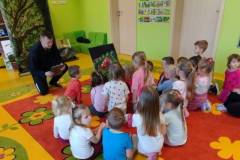 2.-ochronka-pilzno-zycie-mrowek-19