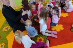 2.-ochronka-pilzno-zycie-mrowek-2