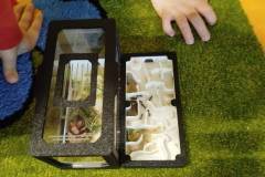 2.-ochronka-pilzno-zycie-mrowek-20