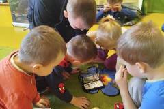 2.-ochronka-pilzno-zycie-mrowek-21