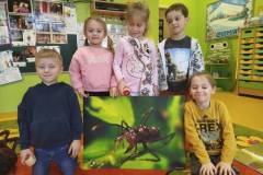 2.-ochronka-pilzno-zycie-mrowek-23