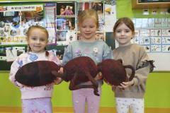 2.-ochronka-pilzno-zycie-mrowek-24