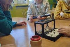 2.-ochronka-pilzno-zycie-mrowek-26