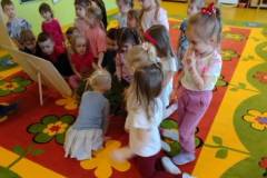 2.-ochronka-pilzno-zycie-mrowek-37