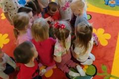 2.-ochronka-pilzno-zycie-mrowek-38