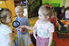 2.-ochronka-pilzno-zycie-mrowek-9